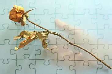 Destins jigsaw puzzle