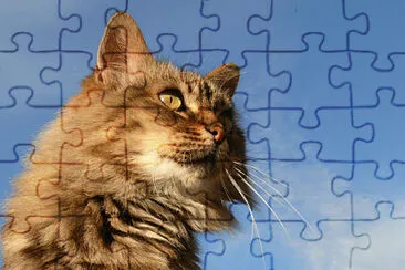 Chat jigsaw puzzle
