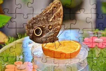 Foto jigsaw puzzle