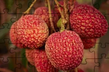 Foto jigsaw puzzle