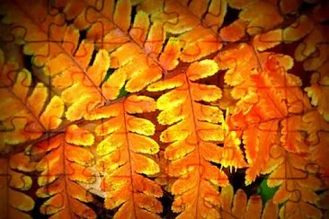Foto jigsaw puzzle
