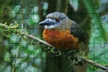 a jigsaw puzzle