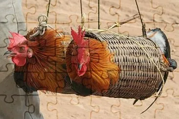 Foto jigsaw puzzle