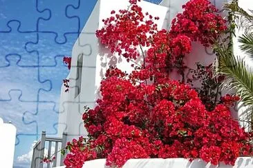 Foto jigsaw puzzle