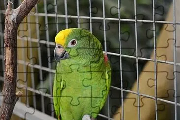 Foto jigsaw puzzle