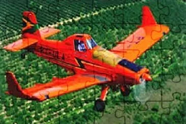 Foto jigsaw puzzle