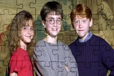 Harry jigsaw puzzle