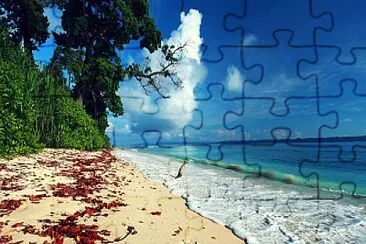 mar jigsaw puzzle