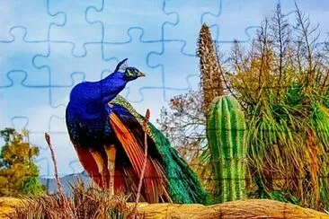 Toy jigsaw puzzle