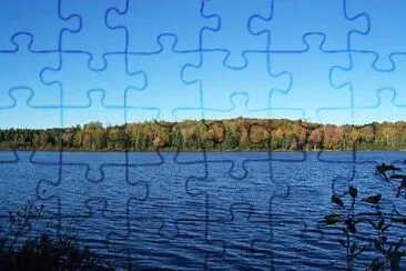 Toy jigsaw puzzle
