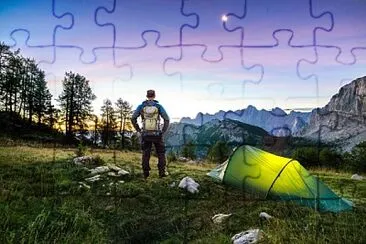 Toy jigsaw puzzle