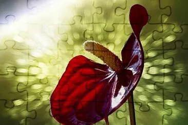 Foto jigsaw puzzle