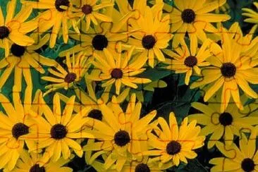 Foto jigsaw puzzle