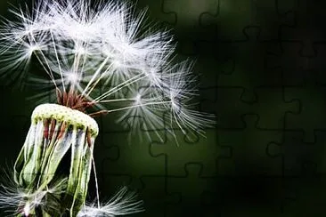 Foto jigsaw puzzle