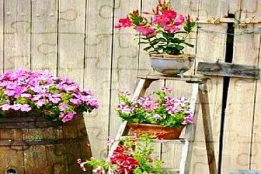 flores