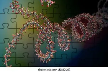 AVER jigsaw puzzle