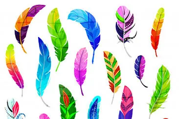 plumas jigsaw puzzle