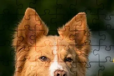 imagem jigsaw puzzle