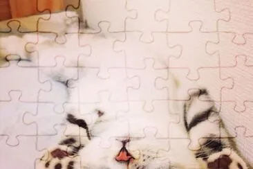 פאזל של Gatito