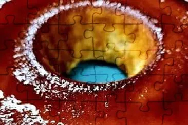 Foto jigsaw puzzle