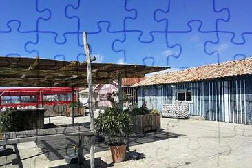 ca
