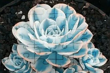 CENÁRIO K582 jigsaw puzzle