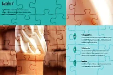  jigsaw puzzle