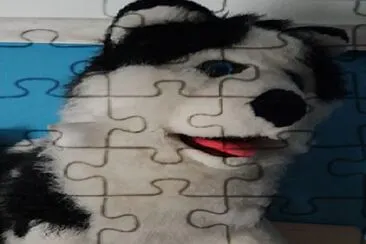  jigsaw puzzle