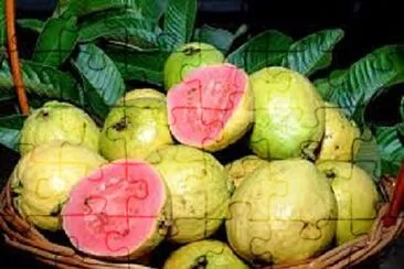 Foto jigsaw puzzle