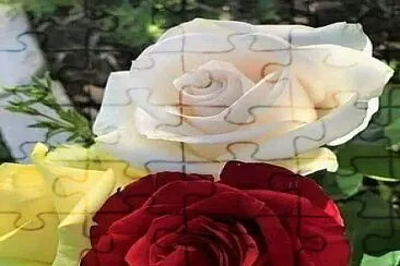 ElianeSevero jigsaw puzzle