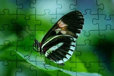  s:  .jspuzzles.com/gallery.php?lang=pt su=u jigsaw puzzle