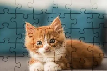 Michu jigsaw puzzle