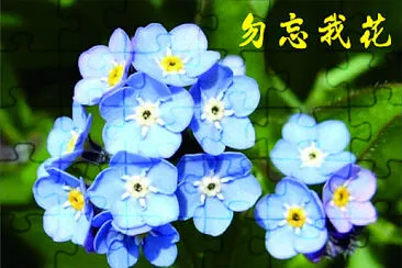 פאזל של 花賞