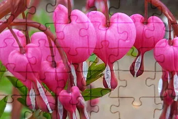 coeur de Marie jigsaw puzzle