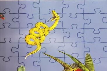 9-1 jigsaw puzzle