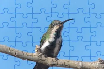 Mango di veraguan jigsaw puzzle