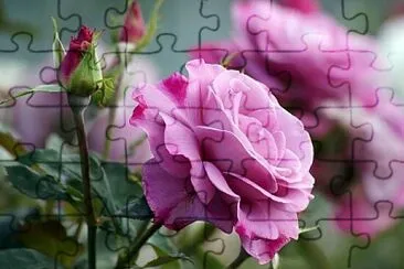 imagem jigsaw puzzle