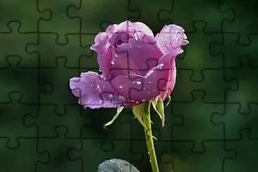 imagem jigsaw puzzle