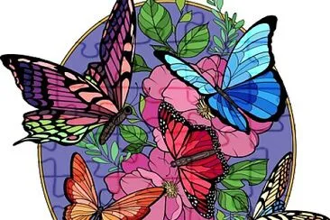 COLORIDO