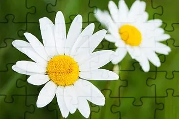 Foto jigsaw puzzle