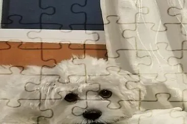 coco2 jigsaw puzzle