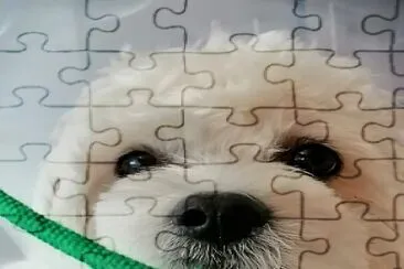 coco3 jigsaw puzzle
