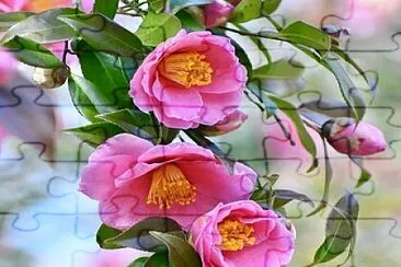 imagem jigsaw puzzle