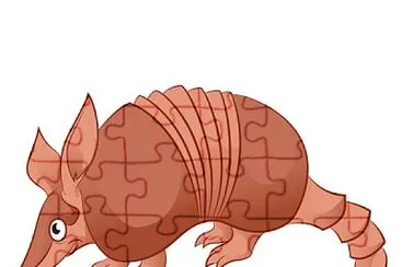 Armadillo jigsaw puzzle