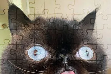 CENÁRIO K606 jigsaw puzzle