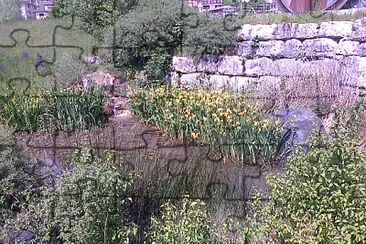 St-Blaise iris d 'eau