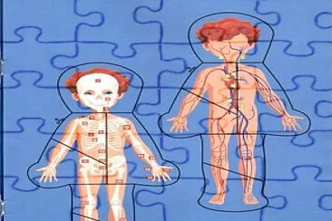  jigsaw puzzle