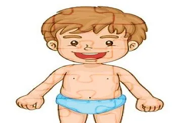 Corpo Humano jigsaw puzzle