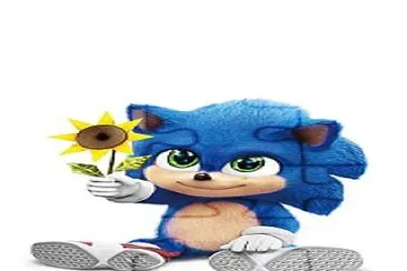 Sonic jigsaw puzzle