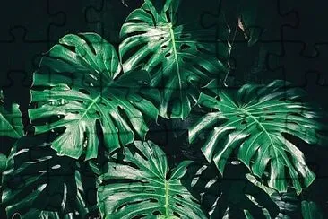 Foto jigsaw puzzle